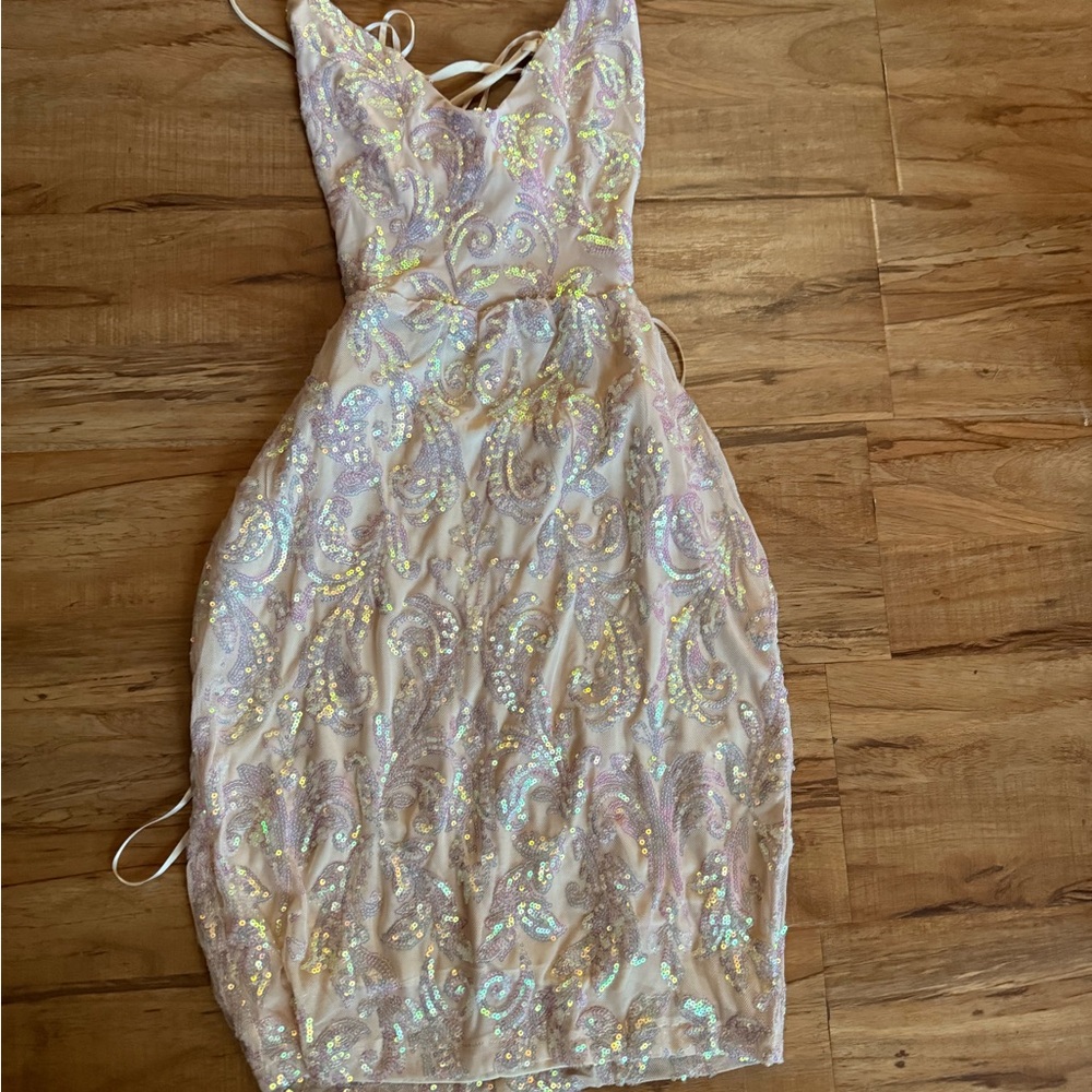 Windsor Iridescent Backless Dress
